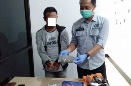 Polda NTB Amankan 500 Gram Ganja dari Tangan Seorang Remaja di Lombok Tengah