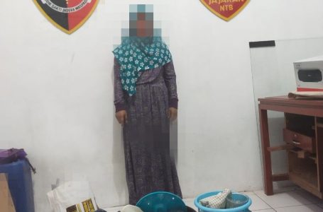 Wanita Residivis Kembali Tertangkap Curi Alat Dapur
