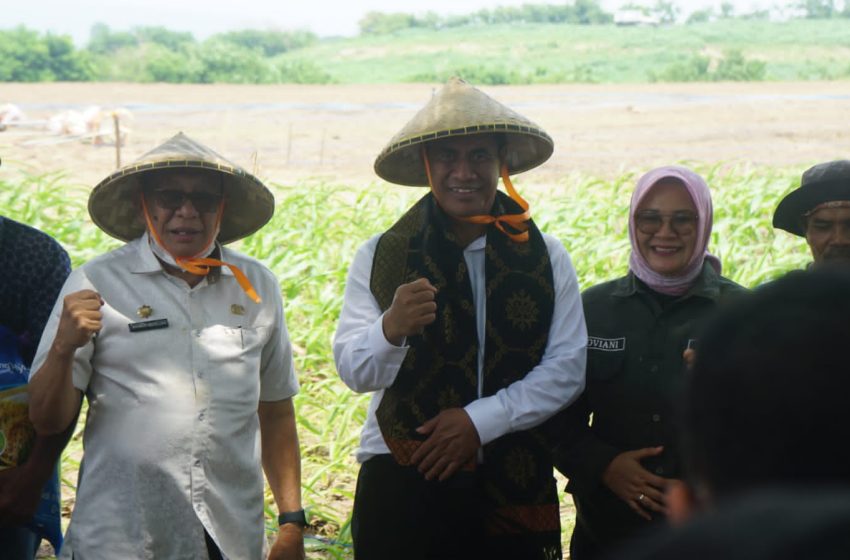  Mentan Tanam Jagung di Sumbawa Untuk Perkuat Persediaan Nasional 2024