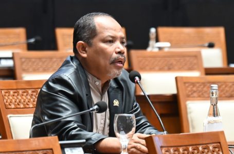 Pasokan Beras Impor masuk Sumbawa dan KSB, Johan Rosihan: Khawatir Bakal Cekik Petani